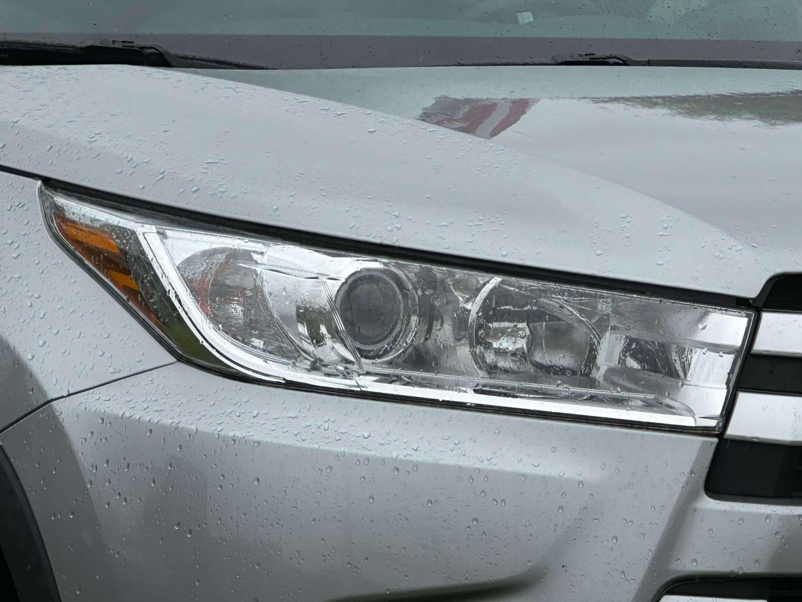 2019 Toyota Highlander XLE V6 AWD (Natl)