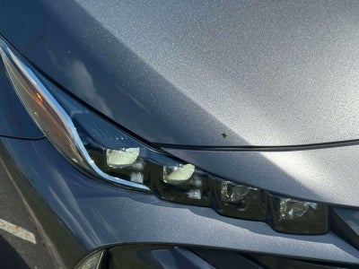 2021 Toyota Prius Prime XLE (Natl)