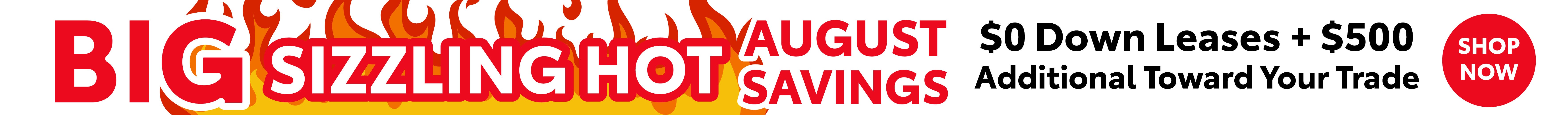 Bonus Block Savings Banner Desktop