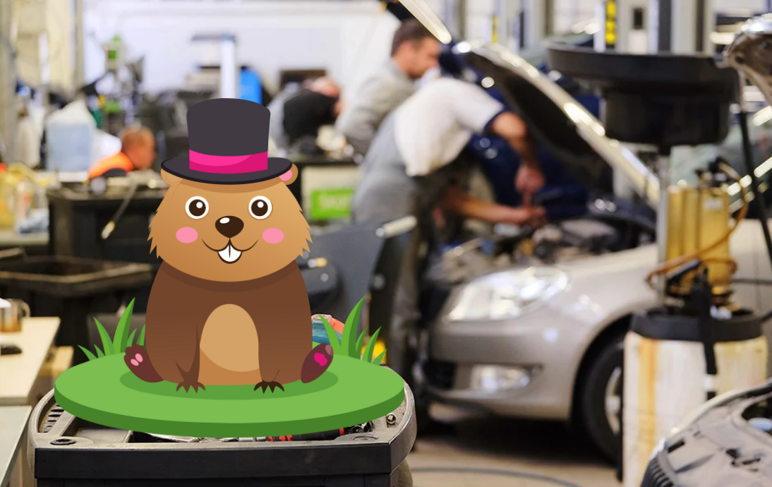 Ground Hogs Day Special!